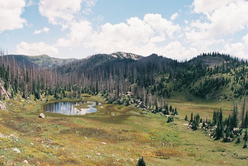 Rocky Mountain High / July 20 - 26, 2025