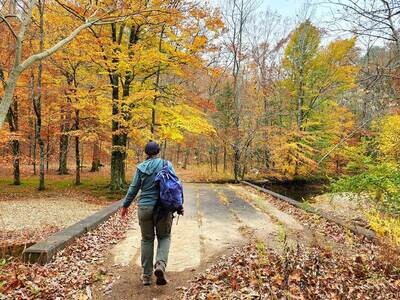 Ladies Fall Hiking & Photography / October 6 - 12, 2024