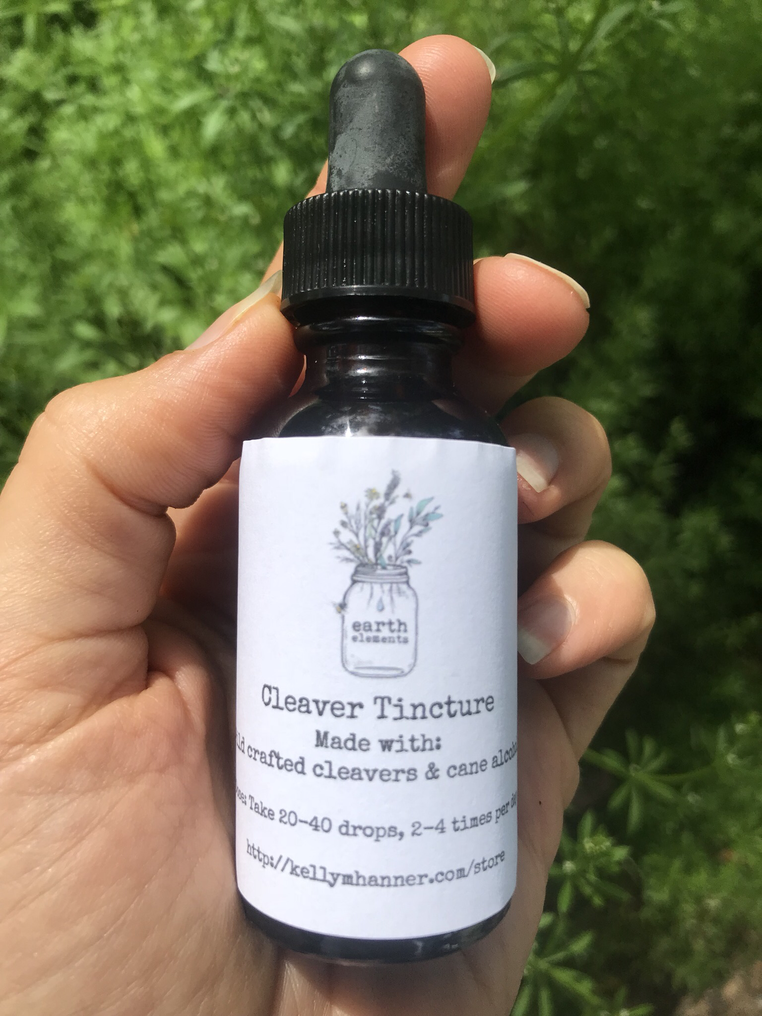 Cleaver Tincture 1oz 00025