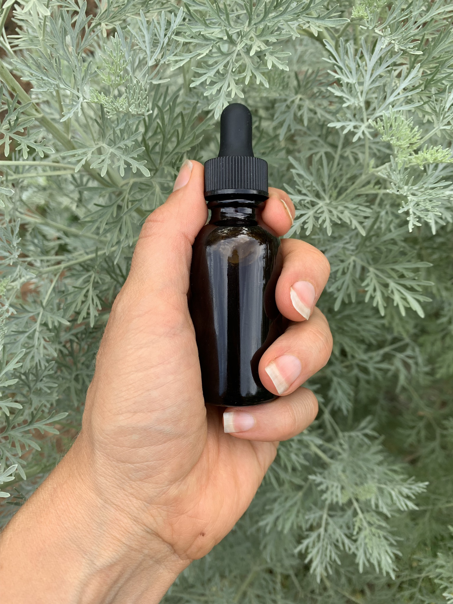 Wormwood Tincture 00030