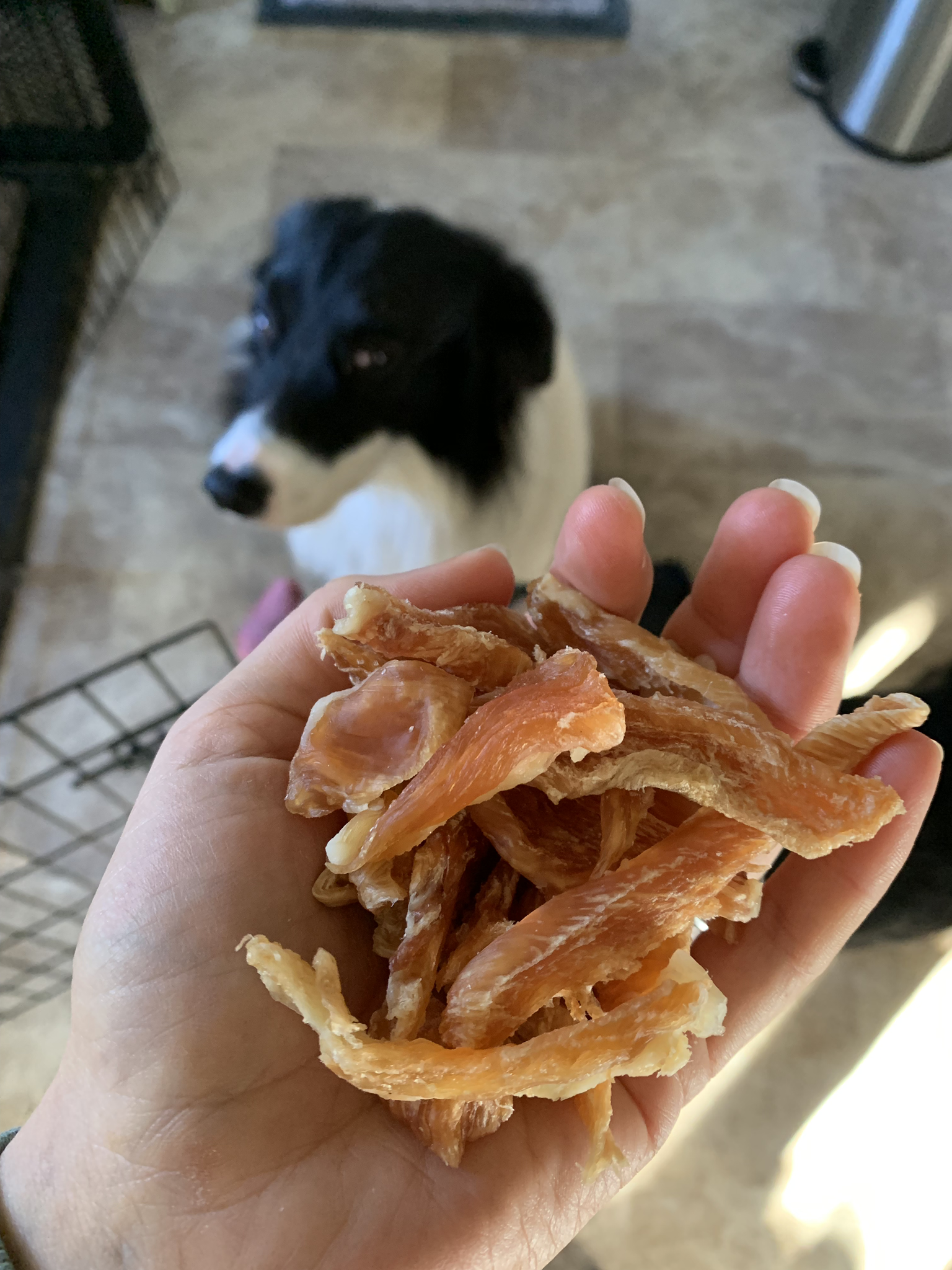 4oz Chicken Treats 00096