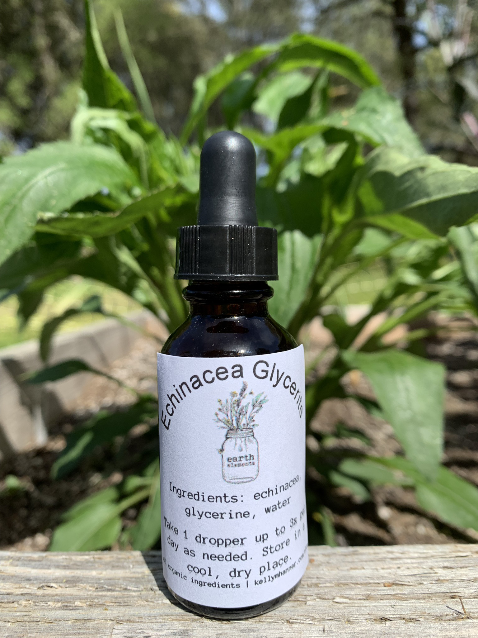 Echinacea Glycerite 00103