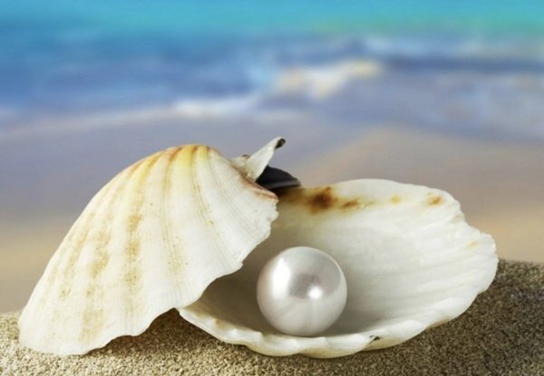 Pearls From Me To You