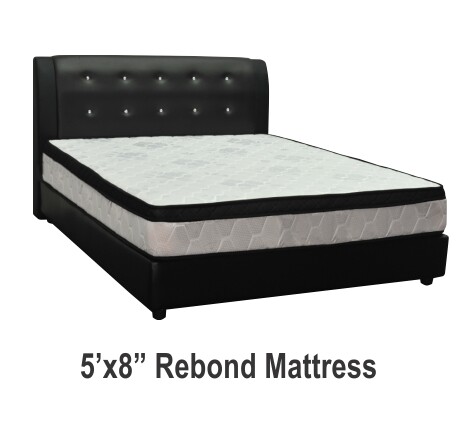 8inch Ecology Rebond Mattress - Queen 8inch Ecology Rebond Mattress - Queen
