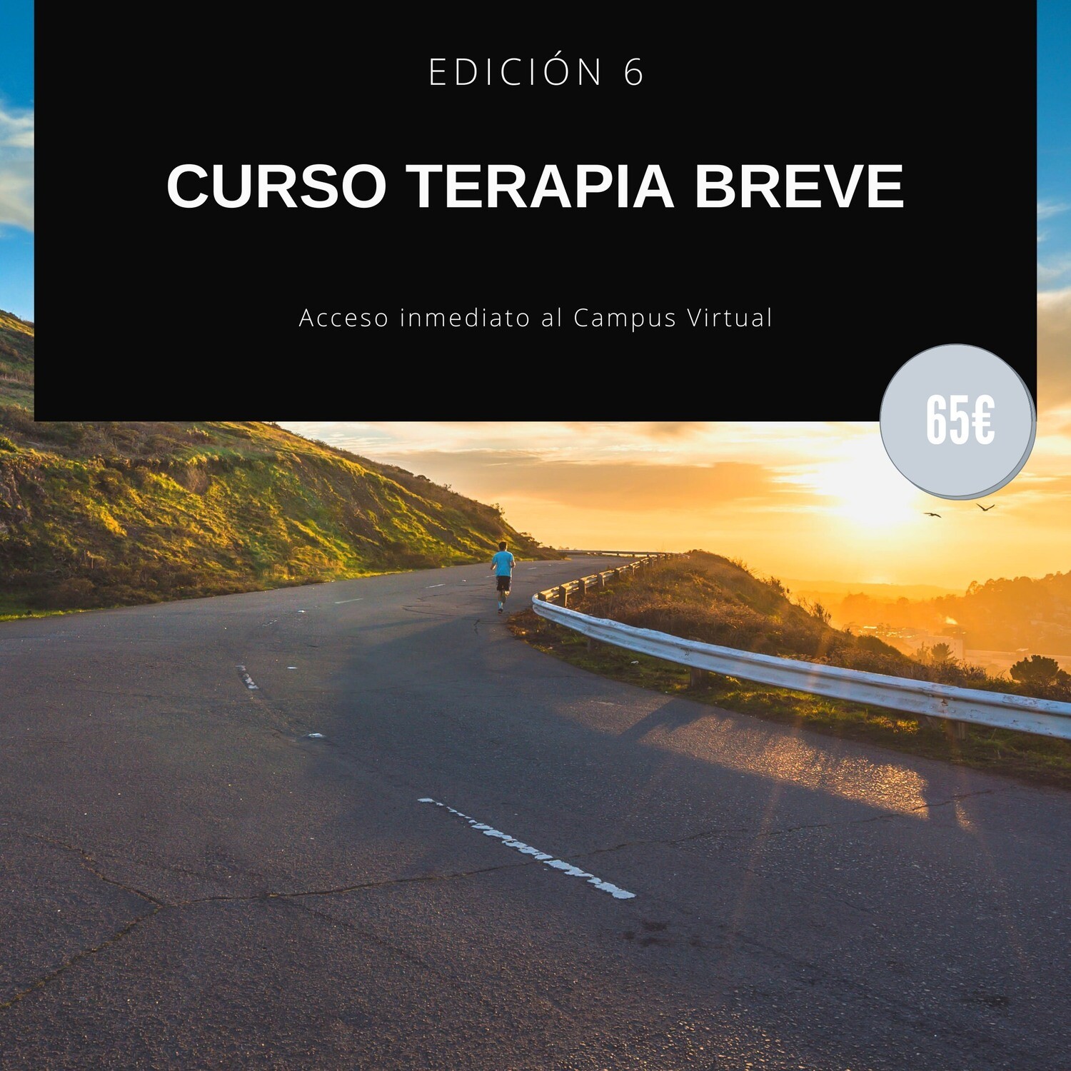 Curso Terapia Breve 6ª Edición
