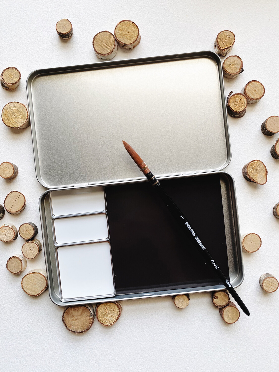 Empty Paint Case PLUS 3 mixing pans.