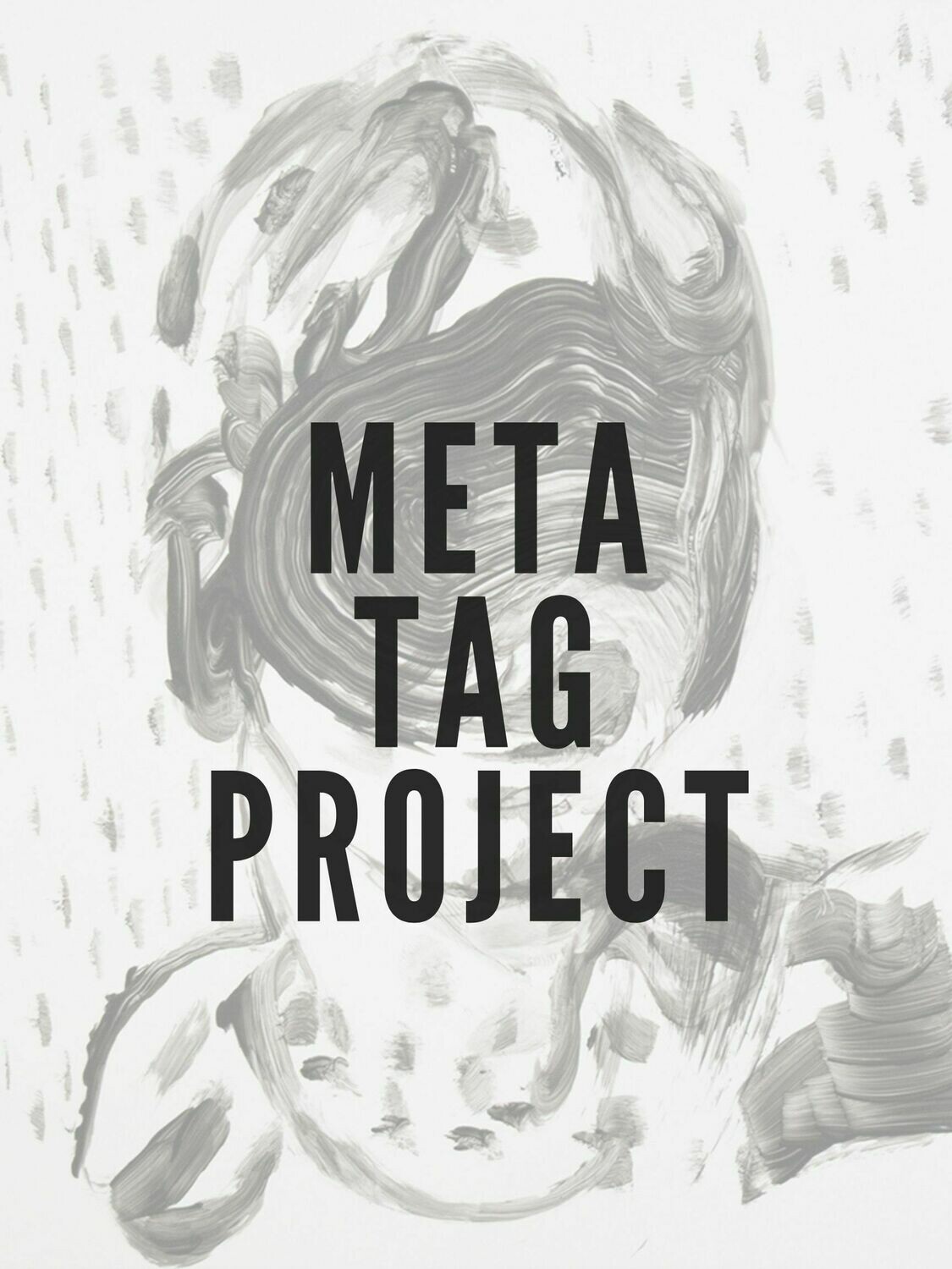 Meta Tag Project