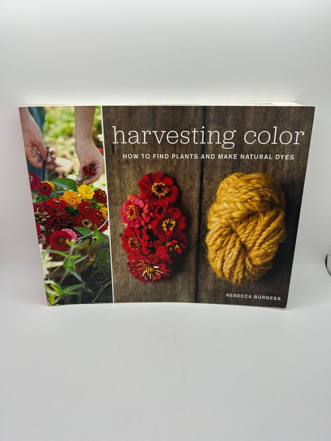 &#39;Harvesting Color&#39; by Rebecca Burgess