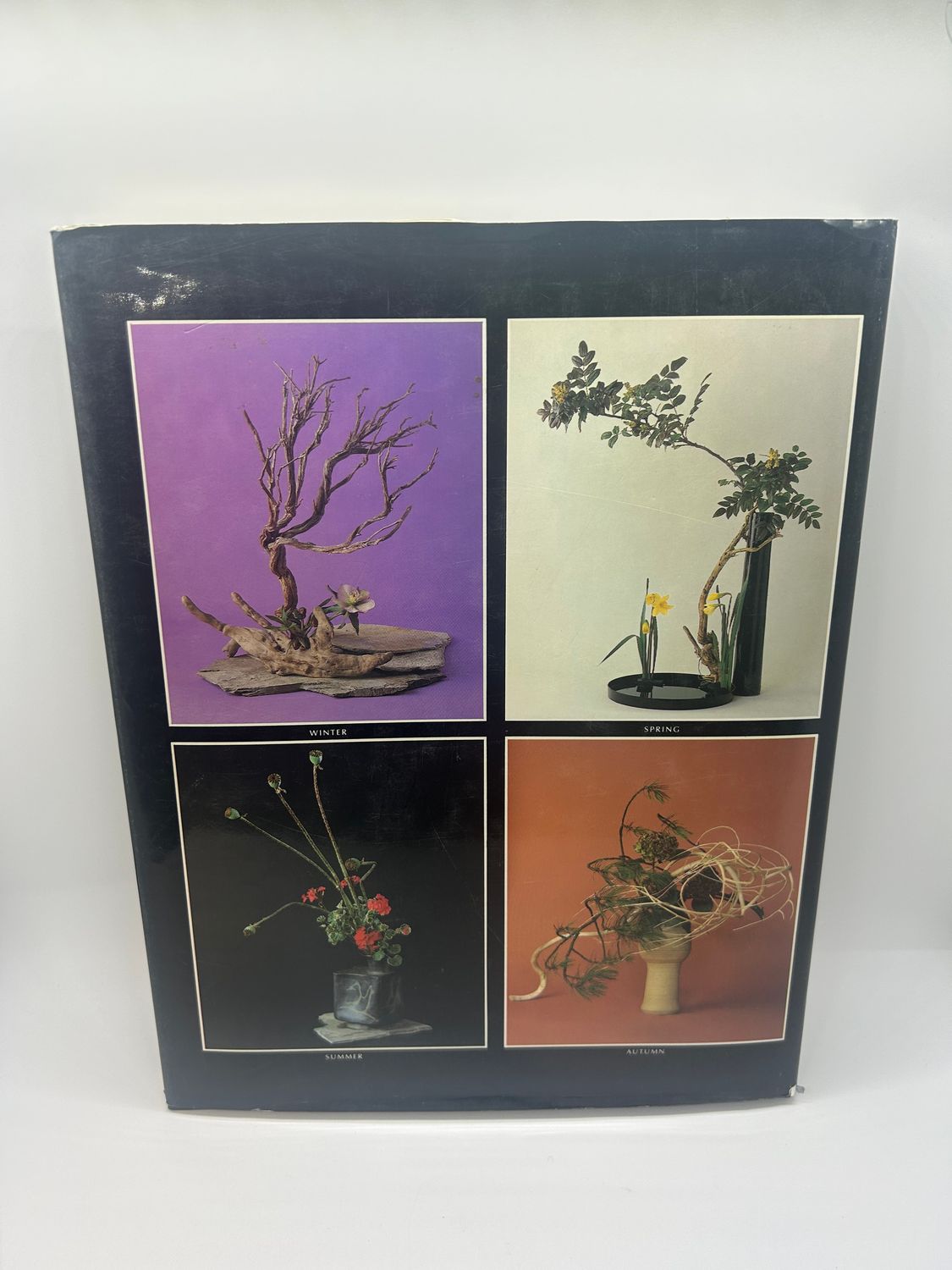 &#39;Ikebana: A Practical and Philosophical Guide to Japanese Flower Arrangement&#39; by Stella Coe