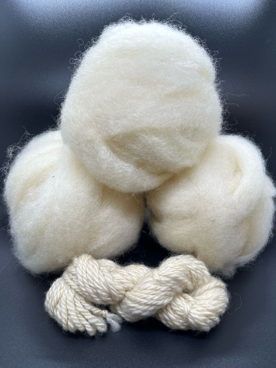 Roving - 100% Lincoln Long Wool Roving - 100% Lincoln Long Wool
