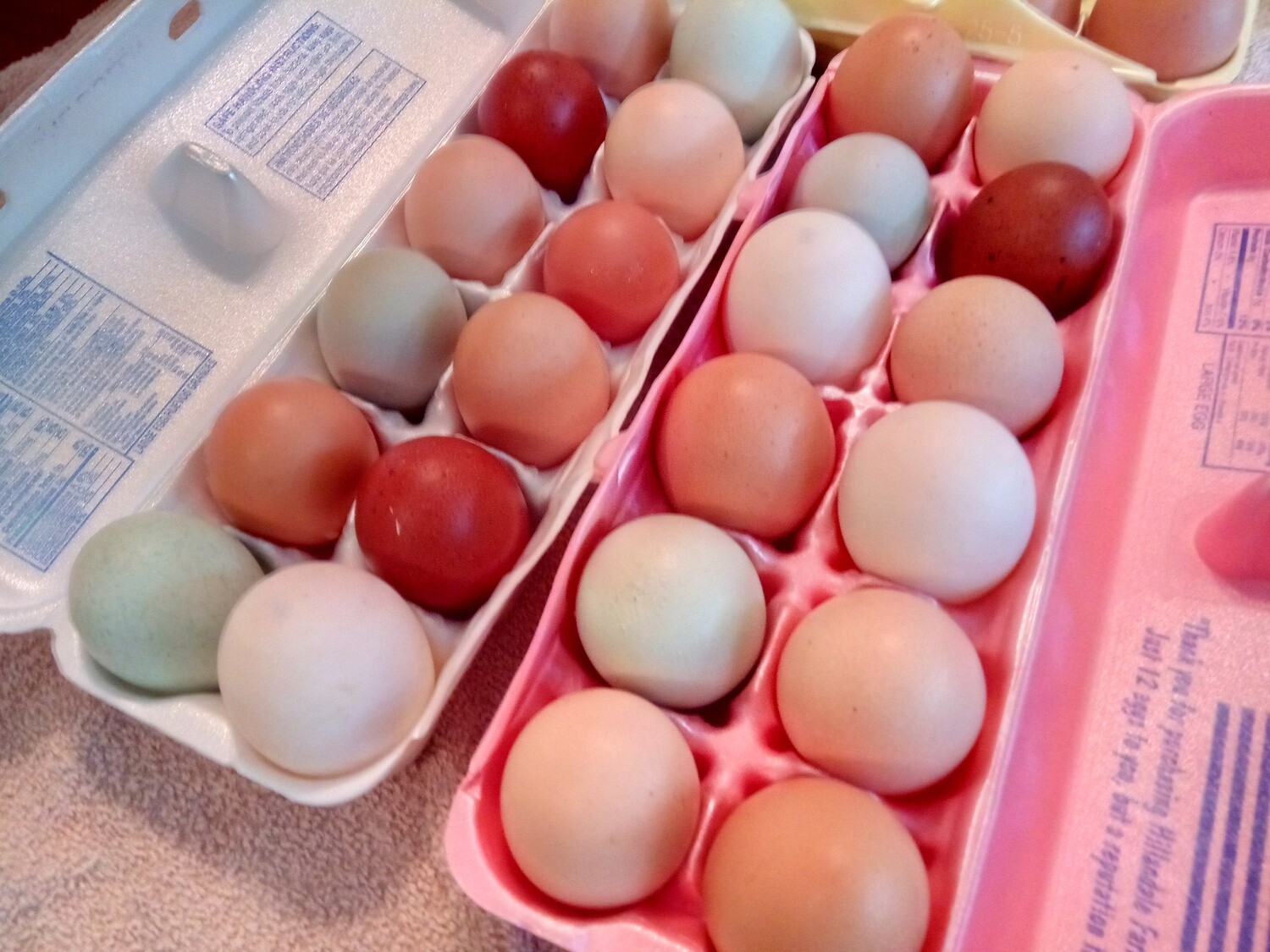Fresh Laid Local Eggs