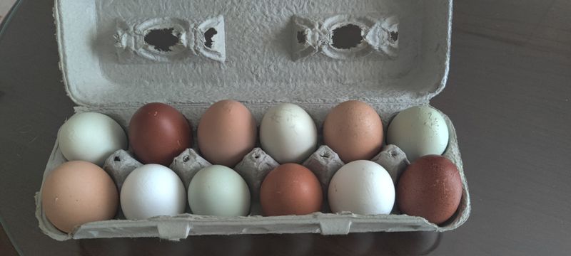 Fresh Laid Local Eggs