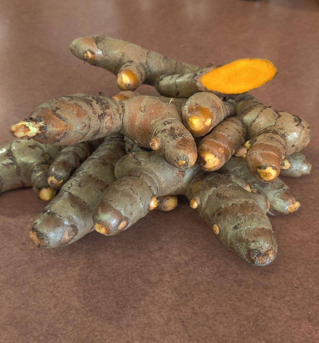 Fresh Organic Local Turmeric 1lb