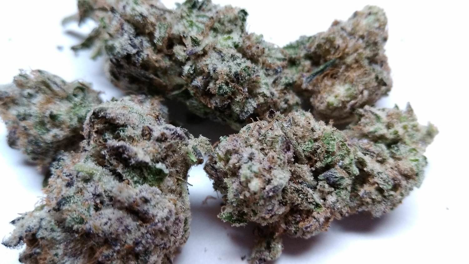 Purple Haze AA (Smalls) - Sativa