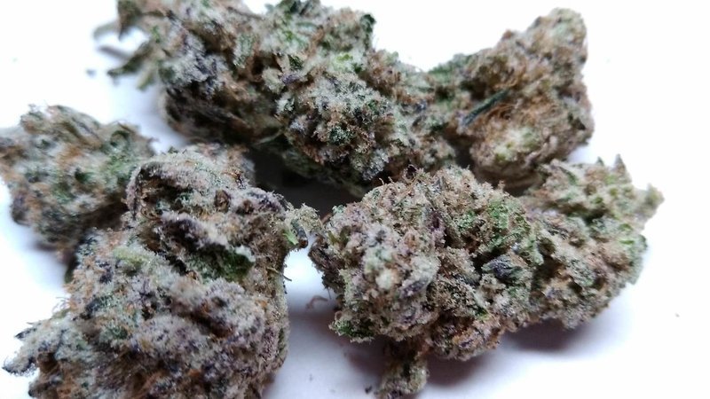 Purple Haze AA (Smalls) - Sativa