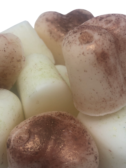 Lemongrass &amp; Ginger