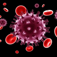 HIV-1 DIY ELISA Assays