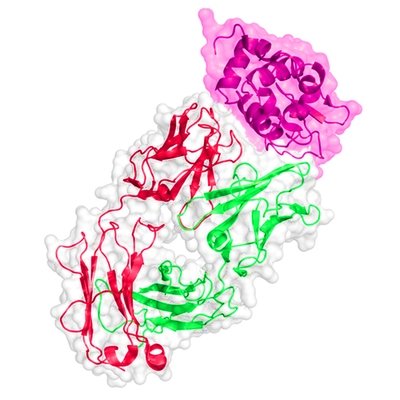 Native Antigens - Viral