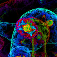Purified Human Proteins - Other
