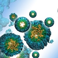 Monoclonal Antibodies To Human Proteins