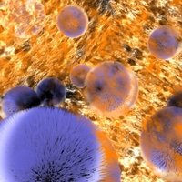 Monoclonal Antibodies To Infectious Disease Agents
