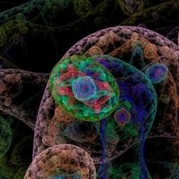 Urine Derived Human Proteins