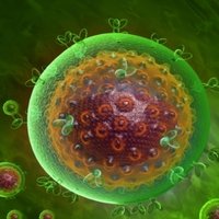 HIV PRODUCTS