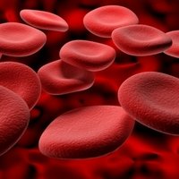 Purified Human Proteins - Plasma/Serum Derived