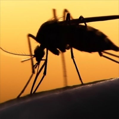 TROPICAL VIRUSES