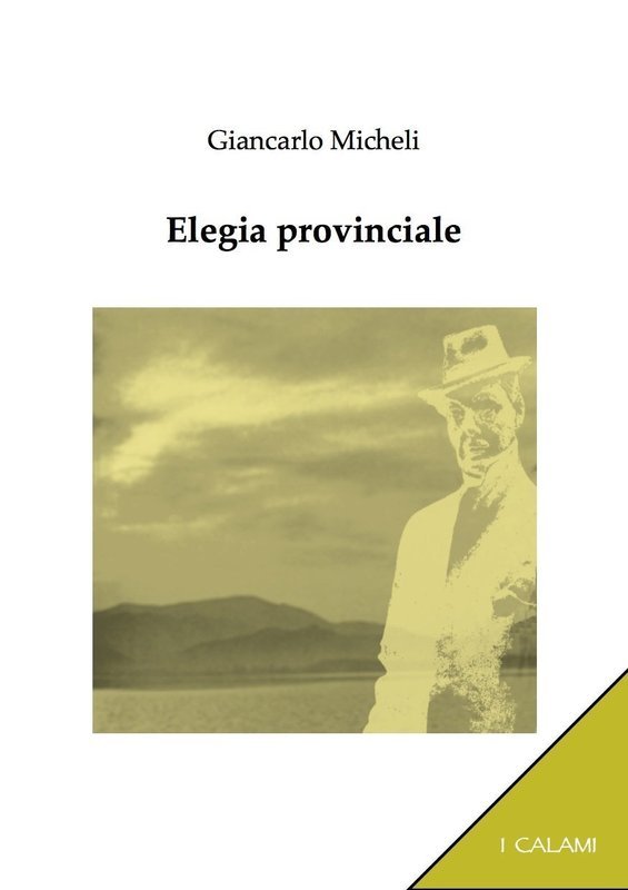 Elegia provinciale