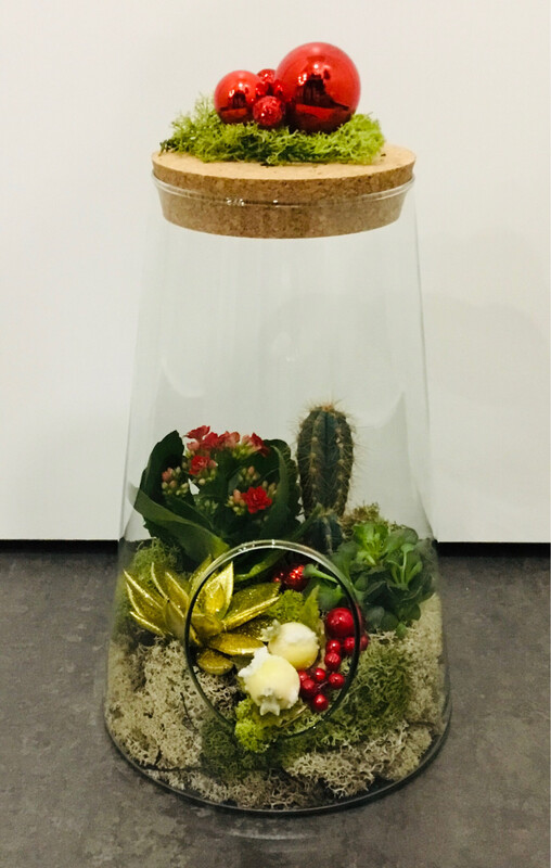 Composizione Cactus
