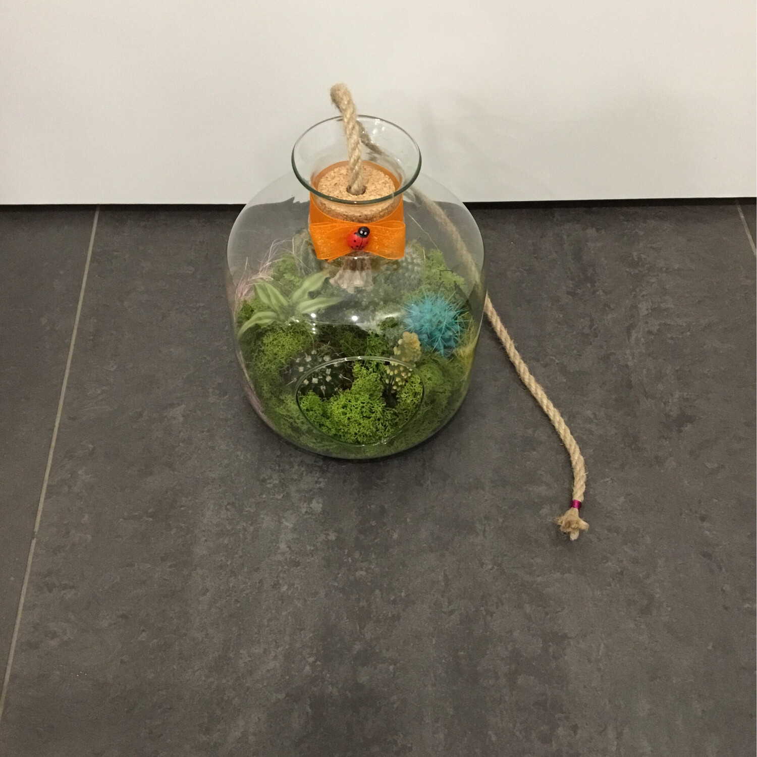 Composizione Cactus