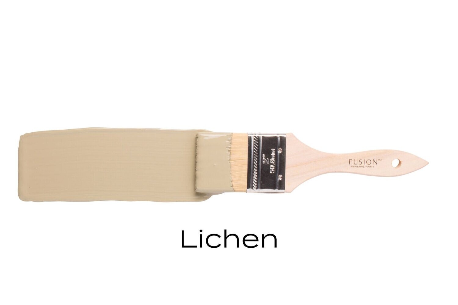 Lichen