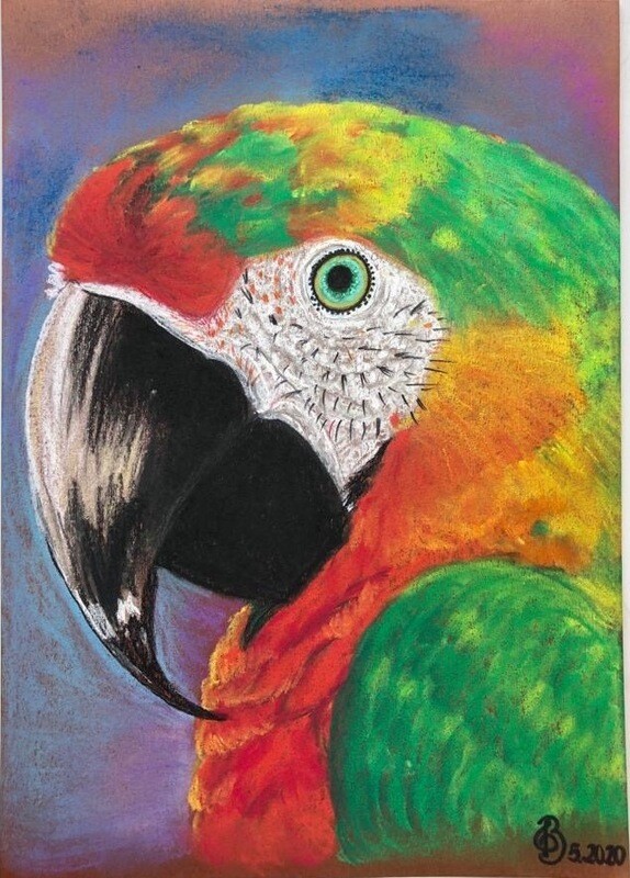 Arara