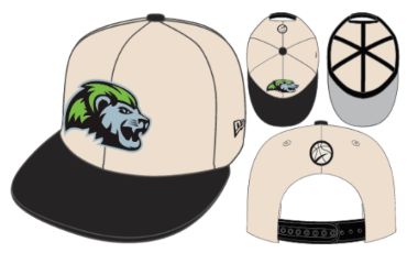Niagara River Lions 9FIFTY White NRL Snapback