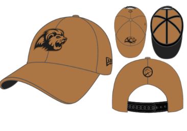 Niagara River Lions 9FORTY Brown Cap