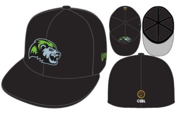 Niagara River Lions Black Champions Snapback