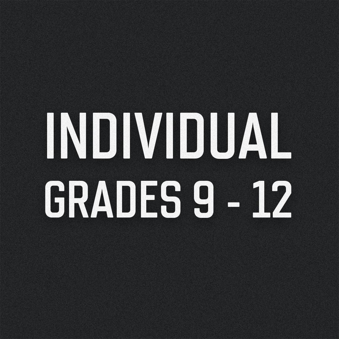 Individual - High School Division (Grades 9-12)