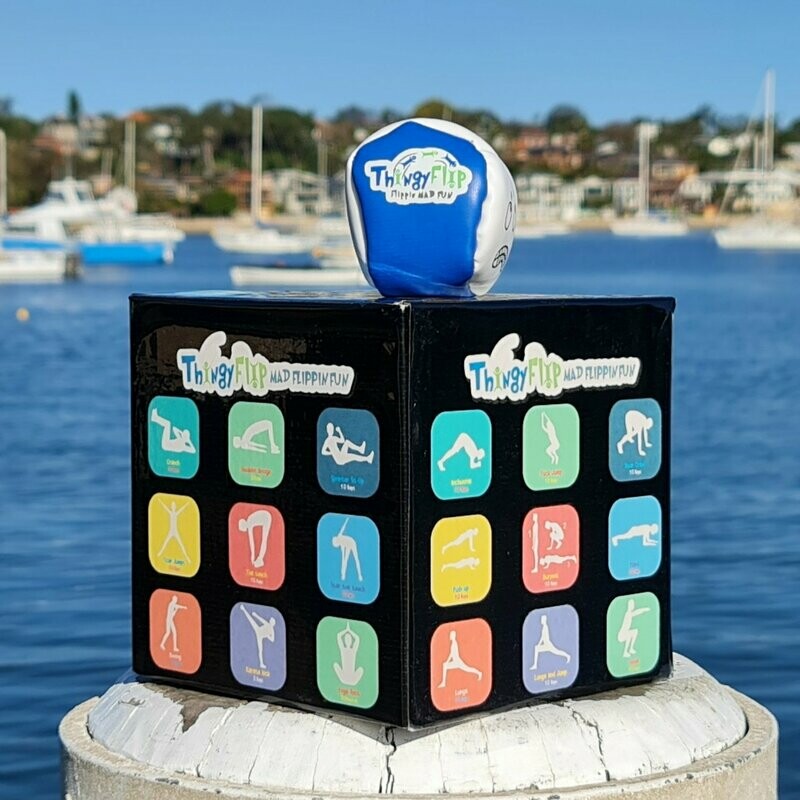 FLIPPIN GYM Cube and Sack