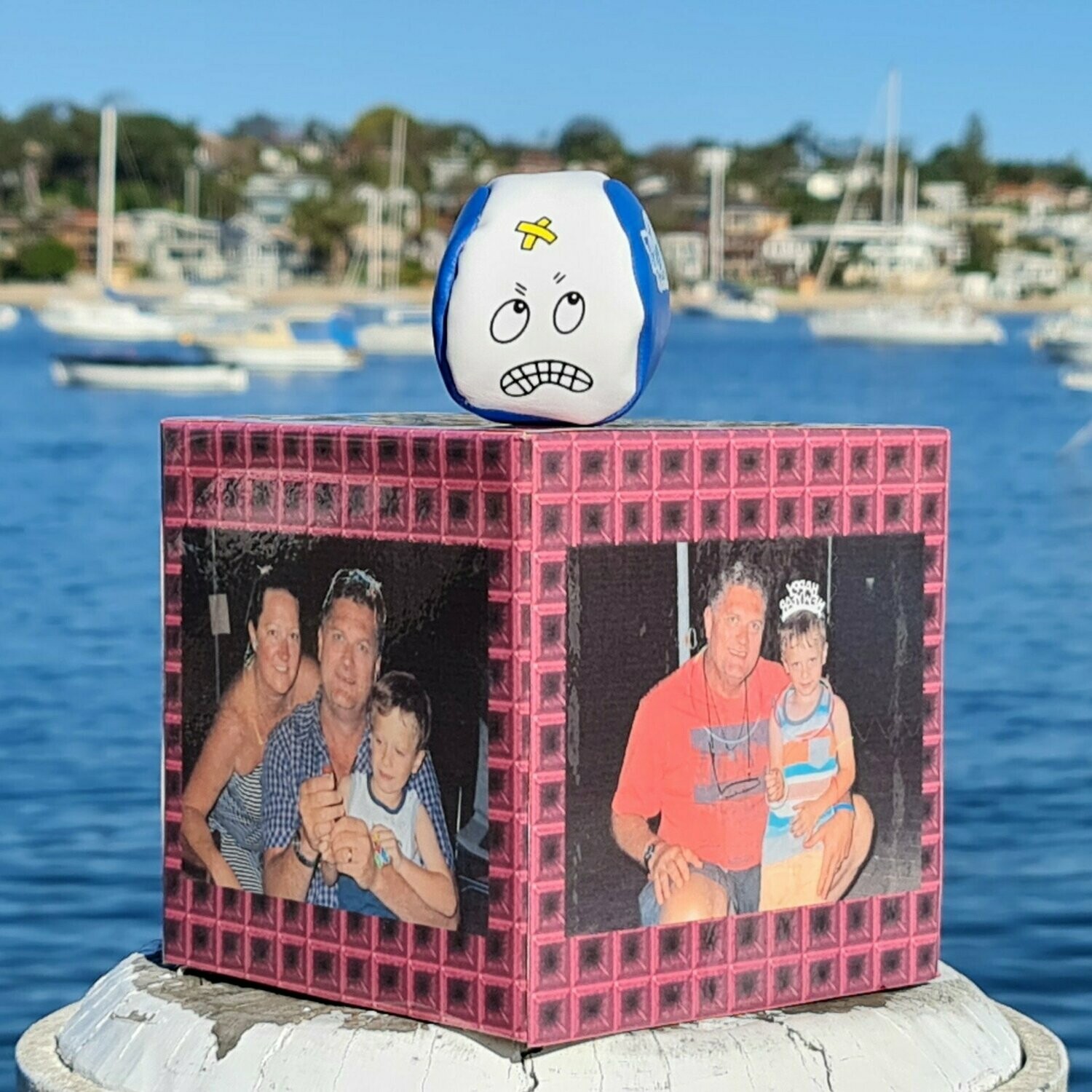The Thingy Flip CEO DESK Photo Album
