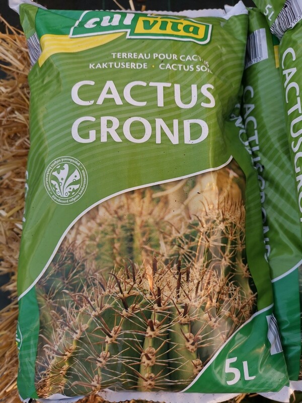 SAC DE TERREAU SPECIAL CACTUS 5L