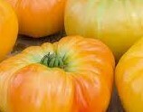 TOMATES ANANAS