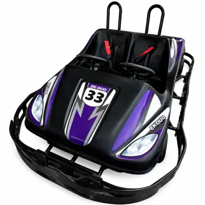 2-SEATER - FAMILY THRILL