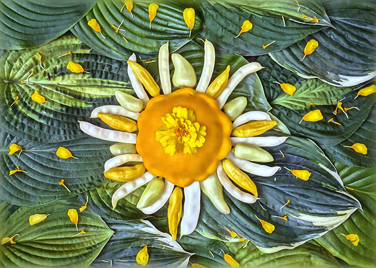 Celestial Vegetables – Studio Michaelino – Visions of a Distant