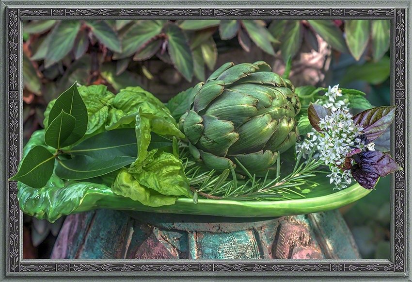 Still Life with Artichoke and Herbs