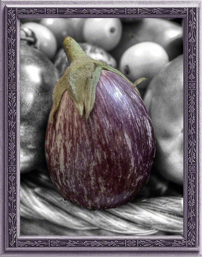 Eggplant in Black & White & Purple