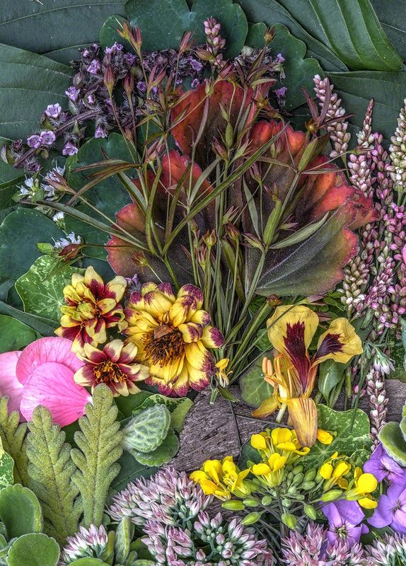 Vignettes – Studio Michaelino – Visions of a Distant Ecotopia