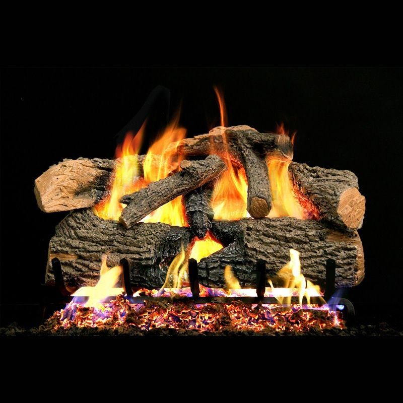 Charred Evergreen Oak