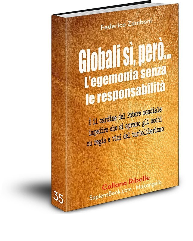 Globalizzazione: l&#39;egemonia senza le responsabilità - di Federico Zamboni