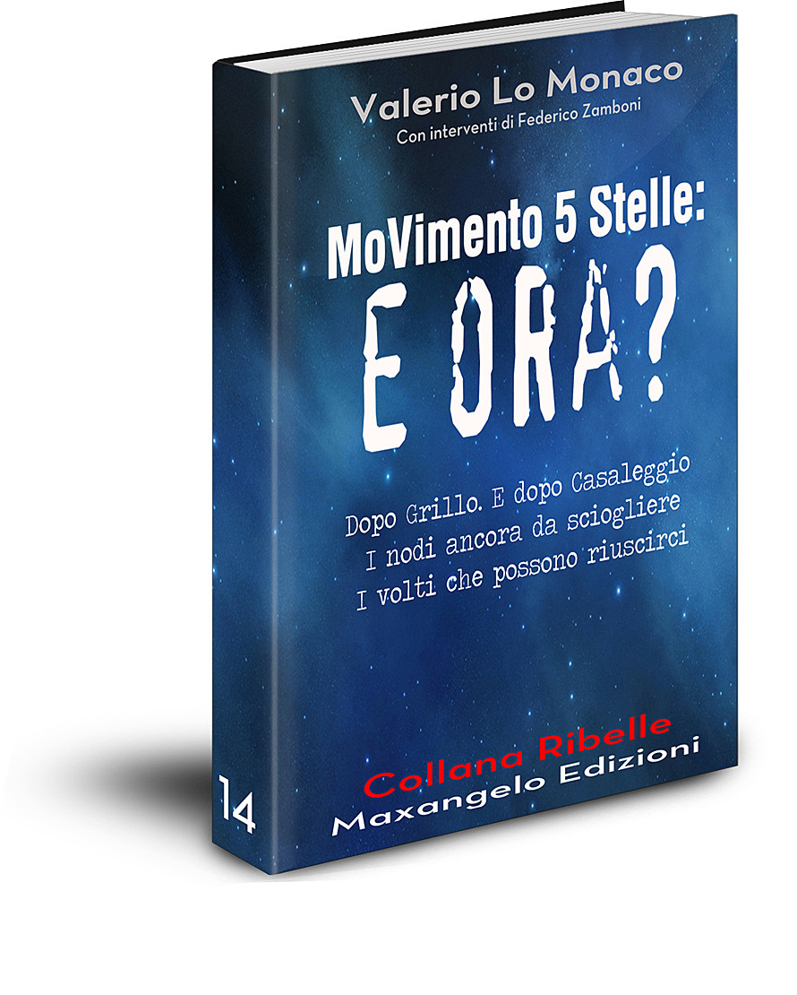 MoVimento 5 Stelle: e ora? - di Valerio Lo Monaco